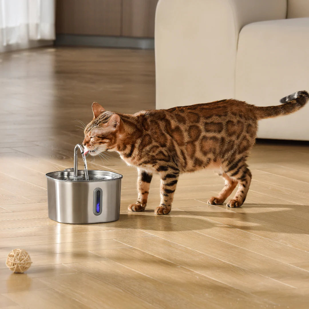 Mewlux™ - 2.2L Fountain Pro